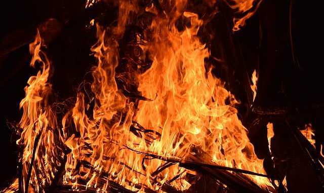 Un incendie au sud de Paris ravage 80 hectares de forêt Un incendie au sud de Paris ravage 80 hectares de forêt