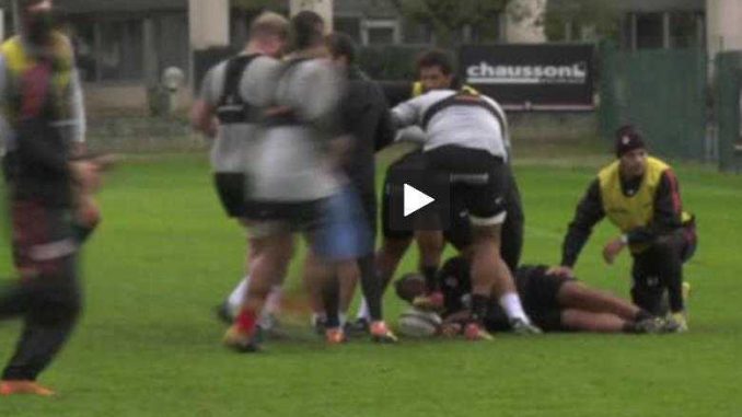 Désormais 2e du Top14, le Stade Toulousain prépare le classico face au Stade Français Désormais 2e du Top14, le Stade Toulousain prépare le clasico face au Stade Français