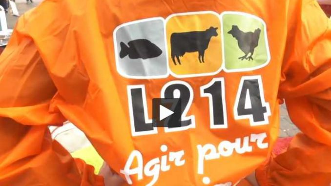 Foie Gras Toulouse L'association L214 lutte contre le gavage des animaux Foie Gras Toulouse L'association L214 lutte contre le gavage des animaux