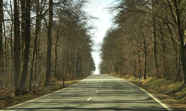 1,35 million de morts par an sur les routes OMS 1,35 million de morts par an sur les routes OMS