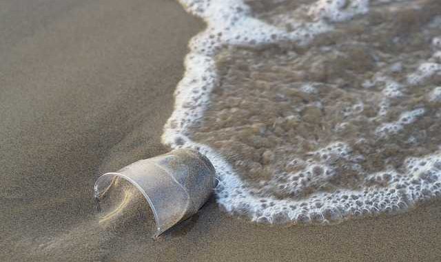 Initiative internationale pour éliminer les plastiques dans les océans Initiative internationale pour éliminer les plastiques dans les océans