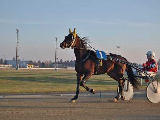 Le prestigieux Prix d'Amérique arrive au galop, ce qu'il faut savoir
