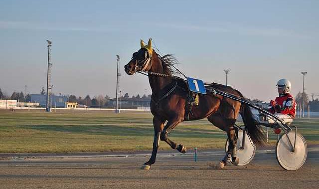 Le prestigieux Prix d'Amérique arrive au galop, ce qu'il faut savoir Le prestigieux Prix d'Amérique arrive au galop, ce qu'il faut savoir