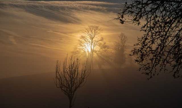 Météo Toulouse. 16 degrés et du soleil mardi après midi Météo Toulouse. 16 degrés et du soleil mardi après midi