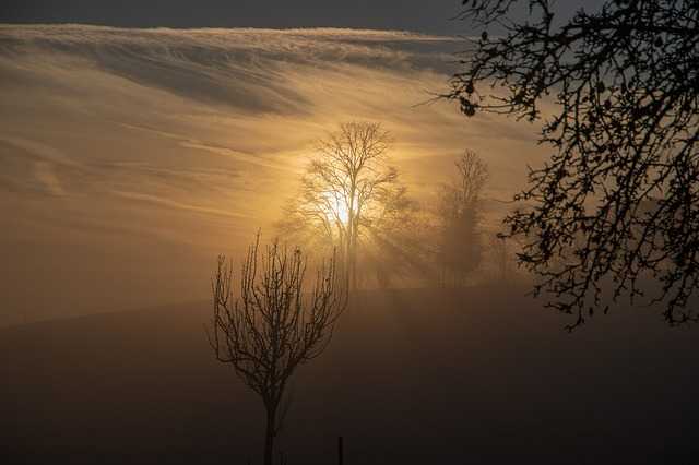 Météo Toulouse. 16 degrés et du soleil mardi après midi