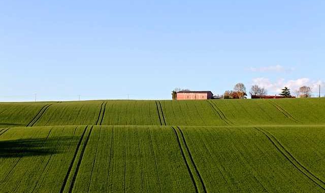 Lagleize veut une autre fusion entre Toulouse et la Haute Garonne Lagleize veut une autre fusion entre Toulouse et la Haute Garonne