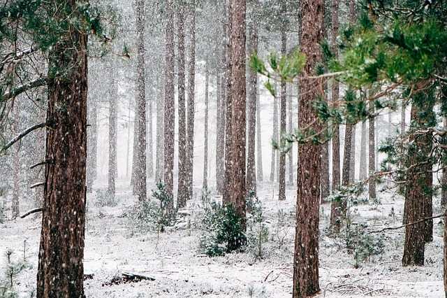 Neige sur les Pyrénées