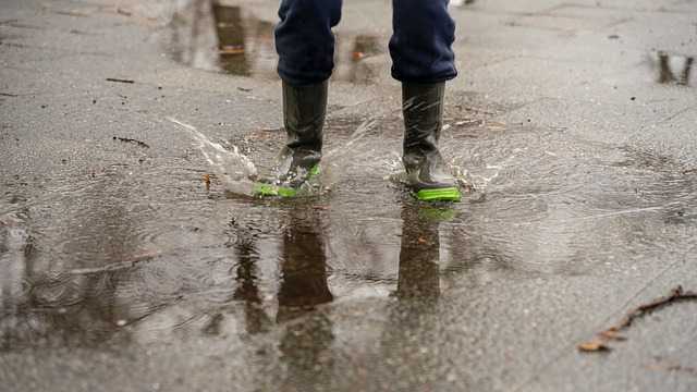 Pluie, vent, froid mercredi à Toulouse Pluie, vent, froid mercredi à Toulouse