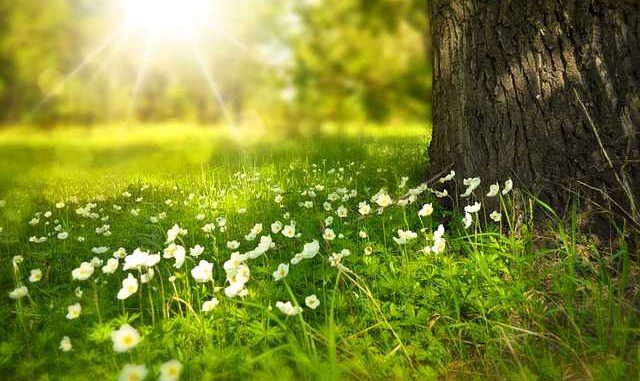 Soleil et hausse du thermomètre, printemps à Toulouse Soleil et hausse du thermomètre, printemps à Toulouse