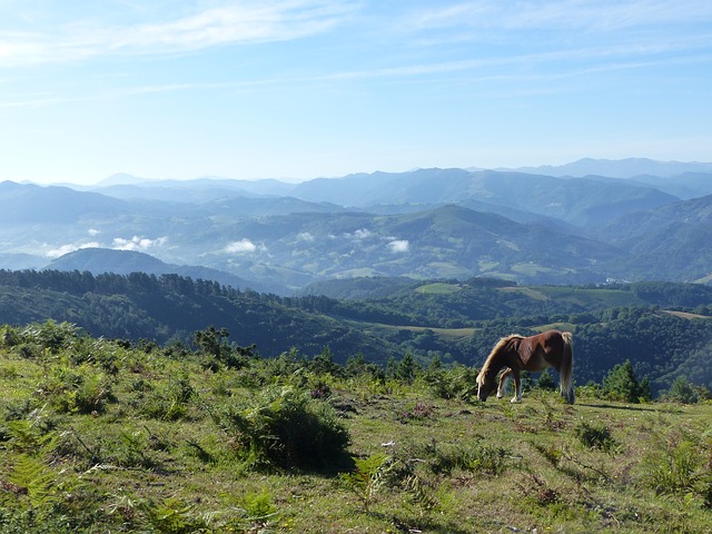 Tremblement de terre vendredi matin dans les Pyrénées Tremblement de terre vendredi matin dans les Pyrénées