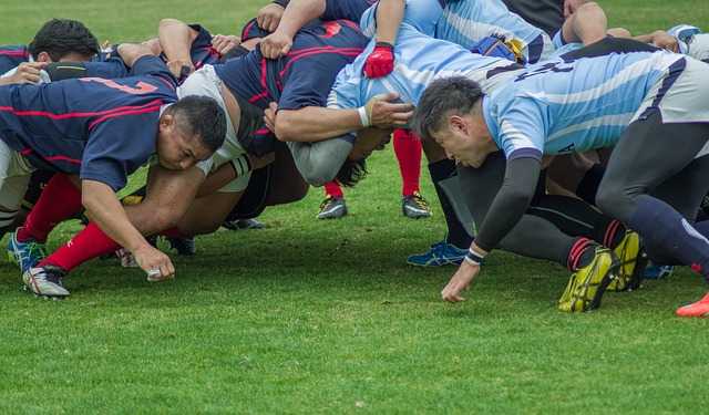 Top14. enjeux majeurs pour Castres et Montpellier lors de la dernière journée (1) Top14. enjeux majeurs pour Castres et Montpellier lors de la dernière journée
