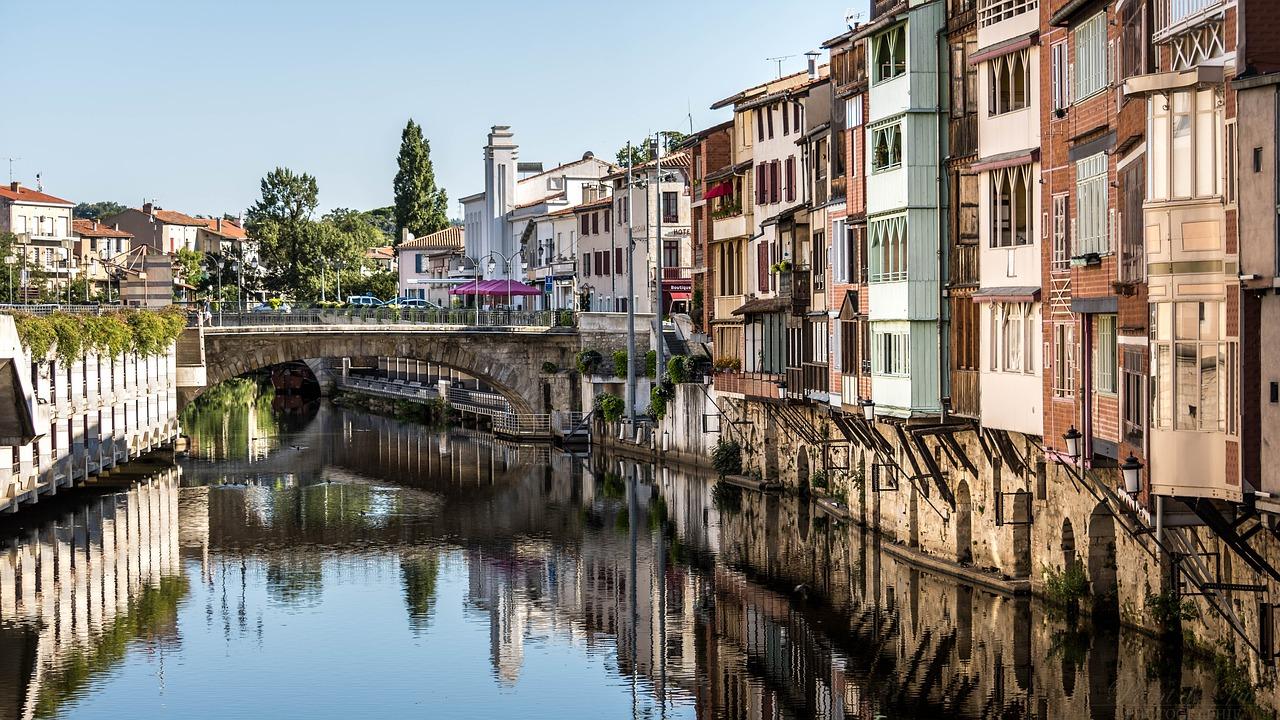 Serpent à Castres, ce n'est pas un Corail très dangereux mais une couleuvre Serpent à Castres, ce n'est pas un Corail très dangereux mais une couleuvre