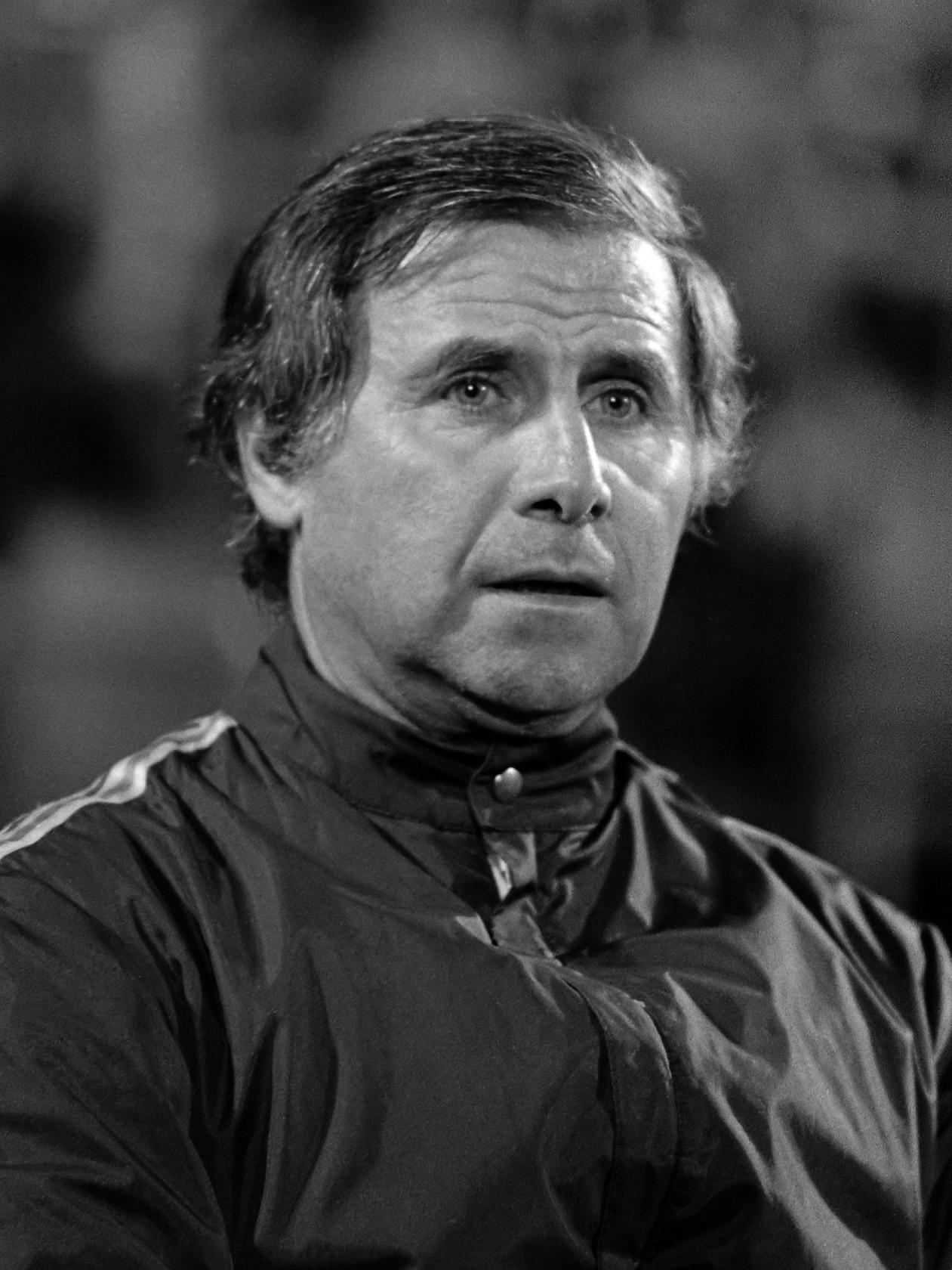 Michel Hidalgo Michel Hidalgo