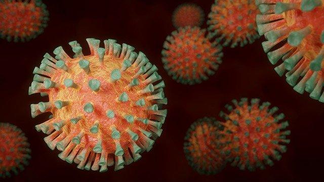 Coronavirus. 241 patients hospitalisés dont 94 en réanimation en Haute Garonne