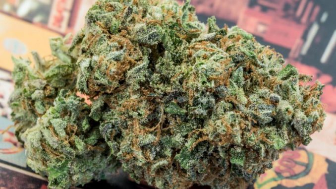 Tarbes. son attestation sentait le Cannabis Tarbes. son attestation sentait le Cannabis