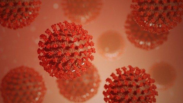 Coronavirus, 1 nouveau décès en Haute Garonne où la situation ne s'améliore pas Coronavirus, 1 nouveau décès en Haute Garonne où la situation ne s'améliore pas