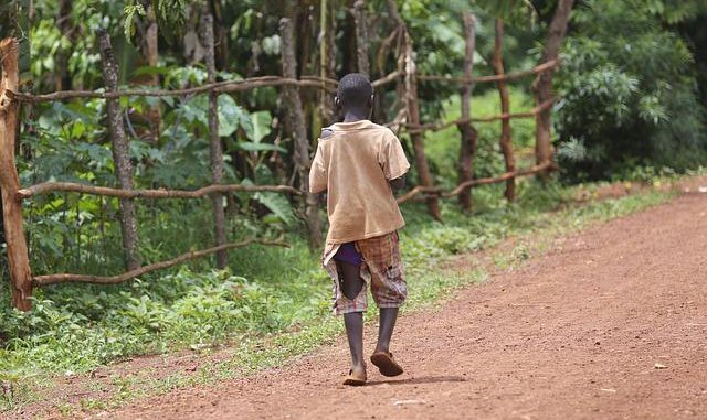 Coronavirus. l'ouest de l'Afrique menacée par la famine Coronavirus. l'ouest de l'Afrique menacée par la famine