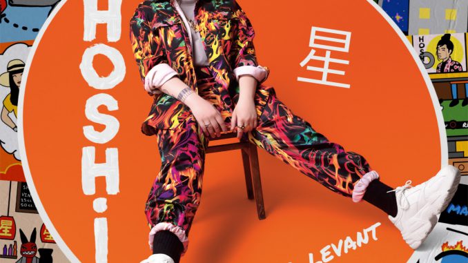 Toulouse. le concert de Hoshi reporté en 2021 Toulouse. le concert de Hoshi reporté en 2021