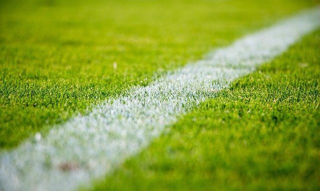 grass-2616911_640