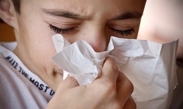 cold-3861935_640 Pollens cyprès alerte Toulouse