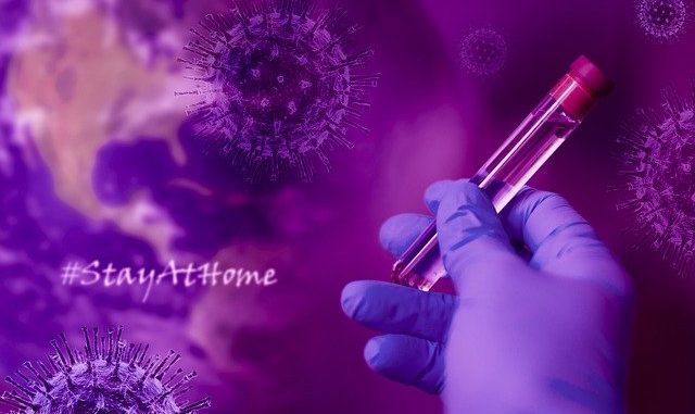 stay-at-home-5000635_640 « extrêmement peu probable » que le Coronavirus provienne d'un laboratoire